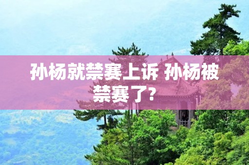 孙杨就禁赛上诉 孙杨被禁赛了? 孙杨就禁赛上诉 孙杨被禁赛了?