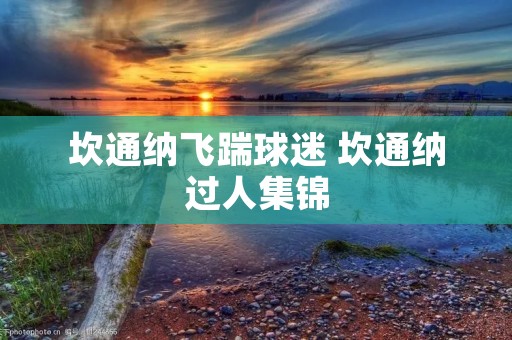 坎通纳飞踹球迷 坎通纳过人集锦 坎通纳飞踹球迷 坎通纳过人集锦