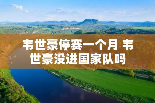 韦世豪停赛一个月 韦世豪没进国家队吗