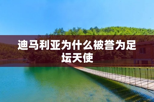 迪马利亚为什么被誉为足坛天使