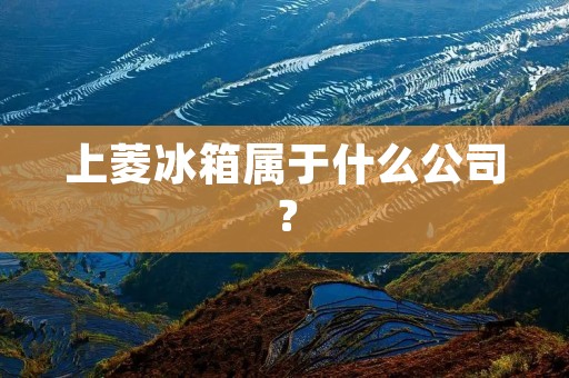 上菱冰箱属于什么公司？