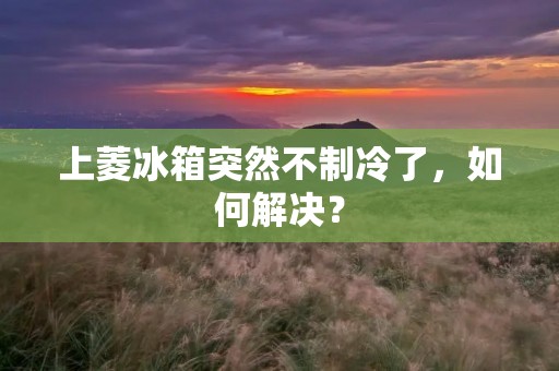 上菱冰箱突然不制冷了,如何解决? 上菱冰箱突然不制冷了,如何解决?