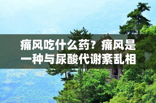 痛风吃什么药？痛风是一种与尿酸代谢紊乱相关的疾病，主要表现为关节疼痛、红肿和炎症。治疗痛风的关键是降低血尿酸水平，以减少尿酸结晶的形成和沉积。目前，临床上常用的药物包括非甾体抗炎药、可逆性酪氨酸氧化酶抑制剂、尿酸排泄增加剂和尿酸生成抑制剂等。在使用这些药物前，应当根据患者的具体情况进行综合评估，制定个体化的治疗方案。