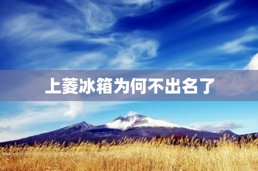 上菱冰箱为何不出名了