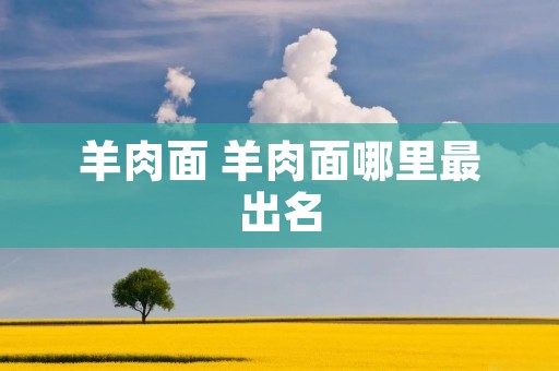 羊肉面 羊肉面哪里最出名