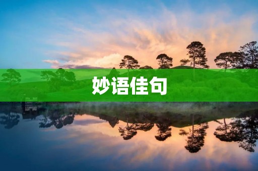 妙语佳句:用言辞巧妙点缀生活的美好
