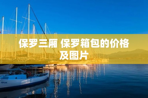 保罗三厢 保罗箱包的价格及图片 保罗三厢 保罗箱包的价格及图片