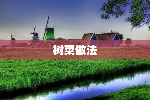 树菜做法:清香可口的家常美味 树菜做法:清香可口的家常美味