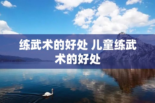 练武术的好处 儿童练武术的好处 练武术的好处 儿童练武术的好处