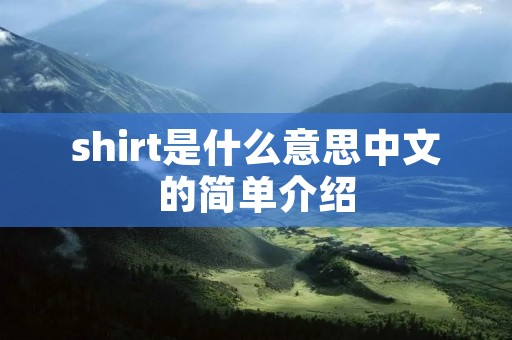 shirt是什么意思中文的简单介绍