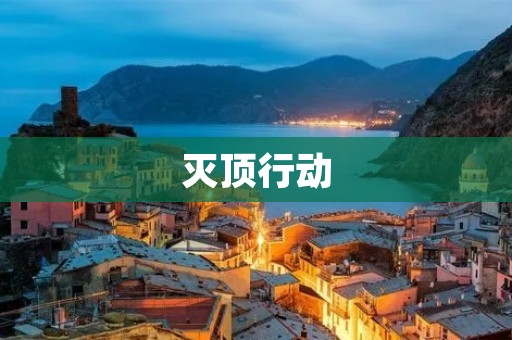 灭顶行动:抵制暴政的绝地反击