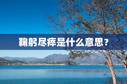 鞠躬尽瘁是什么意思?