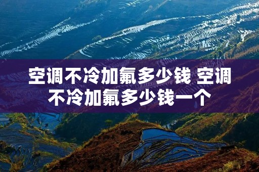 空调不冷加氟多少钱 空调不冷加氟多少钱一个 空调不冷加氟多少钱 空调不冷加氟多少钱一个
