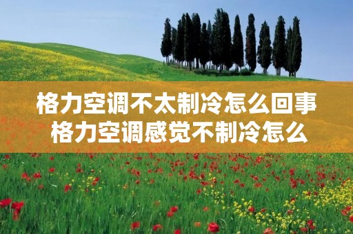 格力空调不太制冷怎么回事 格力空调感觉不制冷怎么办 格力空调不太制冷怎么回事 格力空调感觉不制冷怎么办