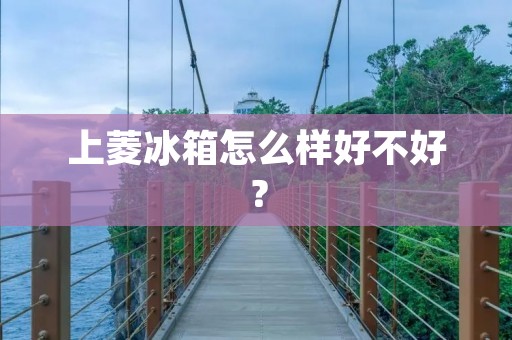 上菱冰箱怎么样好不好? 上菱冰箱怎么样好不好?