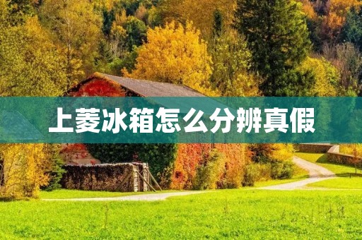 上菱冰箱怎么分辨真假 上菱冰箱怎么分辨真假
