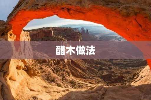 醋木做法：醋木的制作与使用方法