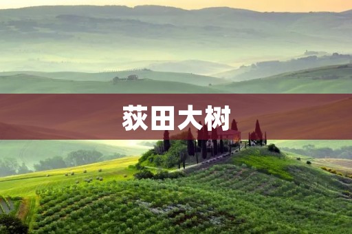 荻田大树：一个追求卓越的音乐天才