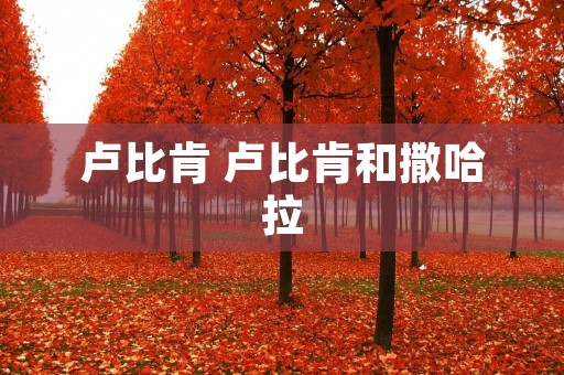 卢比肯 卢比肯和撒哈拉