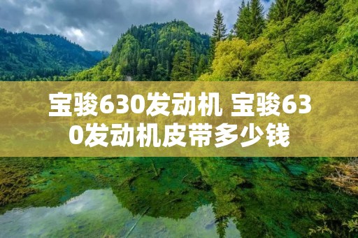 宝骏630发动机 宝骏630发动机皮带多少钱