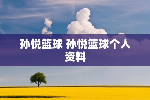 孙悦篮球 孙悦篮球个人资料
