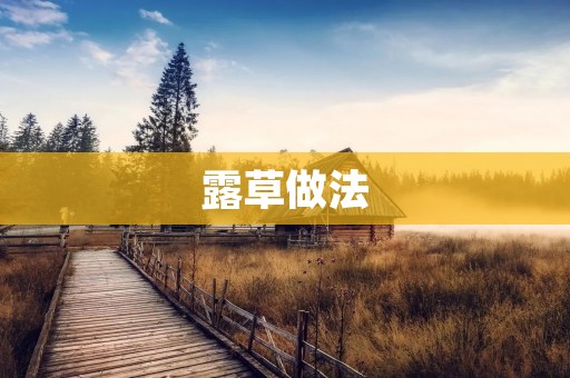 露草做法：打造清新美丽的露草花园