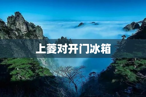 上菱对开门冰箱:高品质冷藏体验的首选 上菱对开门冰箱:高品质冷藏体验的首选