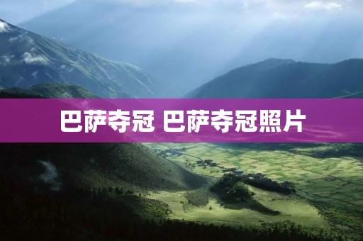 巴萨夺冠 巴萨夺冠照片