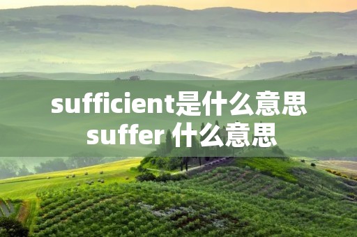 sufficient是什么意思 suffer 什么意思