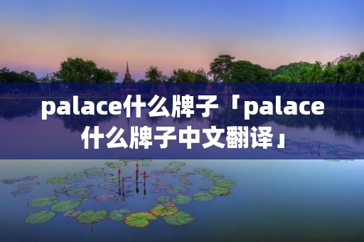 palace什么牌子「palace什么牌子中文翻译」