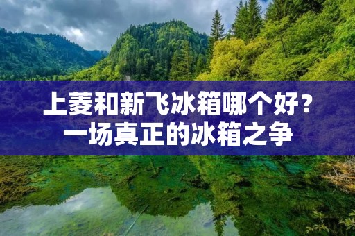 上菱和新飞冰箱哪个好?一场真正的冰箱之争 上菱和新飞冰箱哪个好?一场真正的冰箱之争