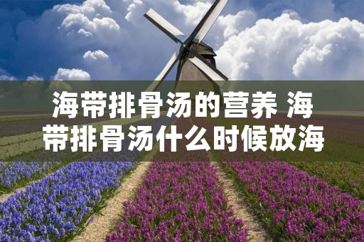 海带排骨汤的营养 海带排骨汤什么时候放海带
