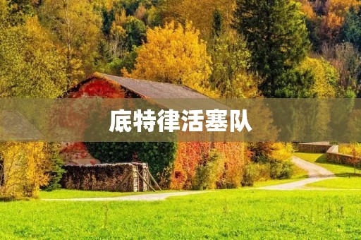 底特律活塞队:重塑辉煌的篮球传奇 底特律活塞队:重塑辉煌的篮球传奇