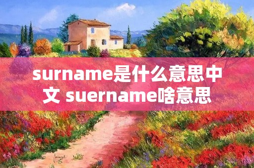 surname是什么意思中文 suername啥意思