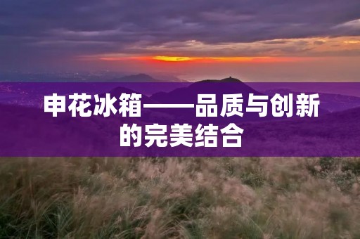 申花冰箱——品质与创新的完美结合