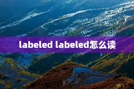 labeled labeled怎么读