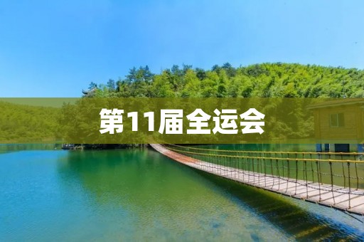 第11届全运会:发展体育事业,促进全民健康 第11届全运会:发展体育事业,促进全民健康
