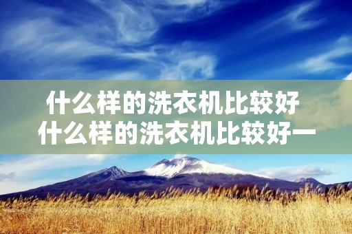 什么样的洗衣机比较好 什么样的洗衣机比较好一点