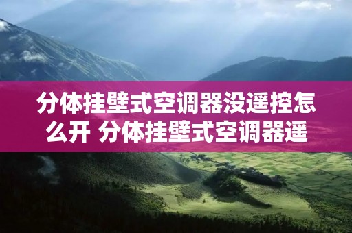分体挂壁式空调器没遥控怎么开 分体挂壁式空调器遥控器下载 分体挂壁式空调器没遥控怎么开 分体挂壁式空调器遥控器下载