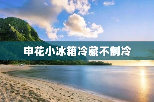 申花小冰箱冷藏不制冷：原因与解决办法