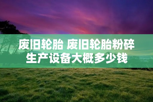 废旧轮胎 废旧轮胎粉碎生产设备大概多少钱