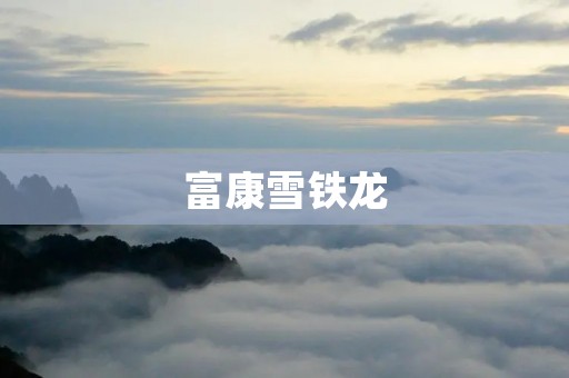 富康雪铁龙:豪华与性能的完美融合