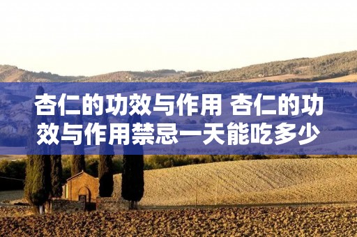 杏仁的功效与作用 杏仁的功效与作用禁忌一天能吃多少