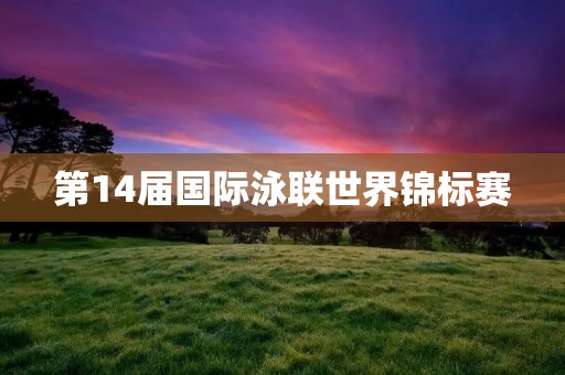 第14届国际泳联世界锦标赛：全球顶尖游泳盛会