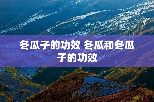 冬瓜子的功效 冬瓜和冬瓜子的功效