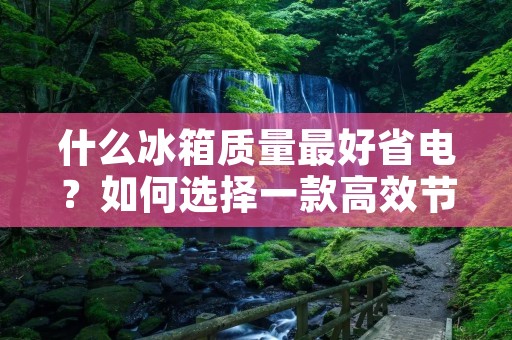 什么冰箱质量最好省电?如何选择一款高效节能的冰箱? 什么冰箱质量最好省电?如何选择一款高效节能的冰箱?