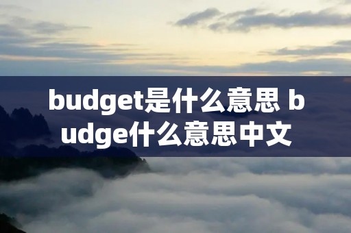 budget是什么意思 budge什么意思中文
