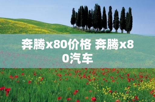 奔腾x80价格 奔腾x80汽车