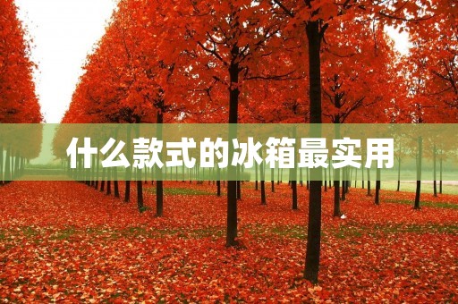 什么款式的冰箱最实用 什么款式的冰箱最实用