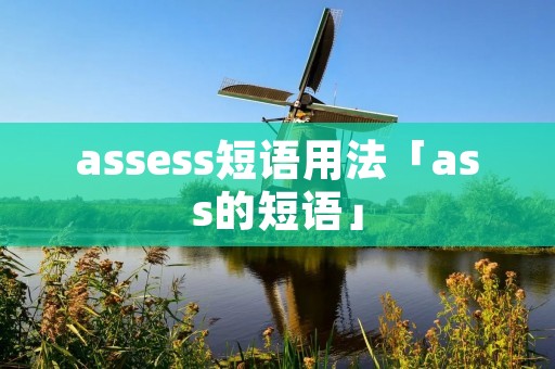 assess短语用法「ass的短语」